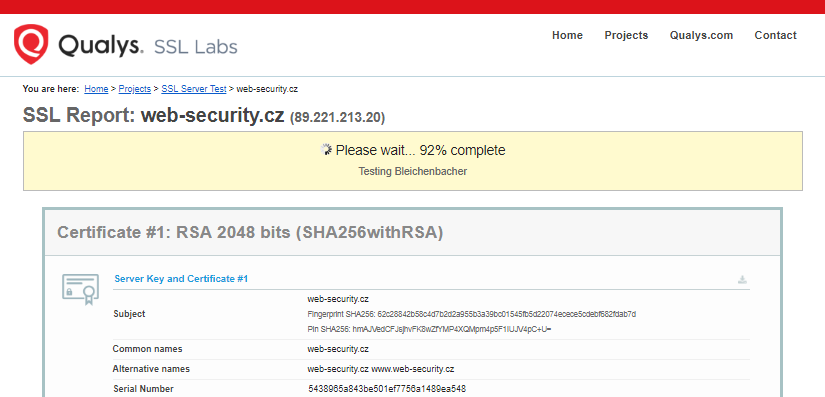 SSLlabs - SSL Server Test - verwerking